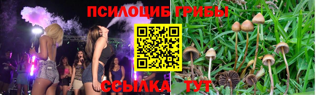 Псилоцибиновые грибы мицелий Орёл