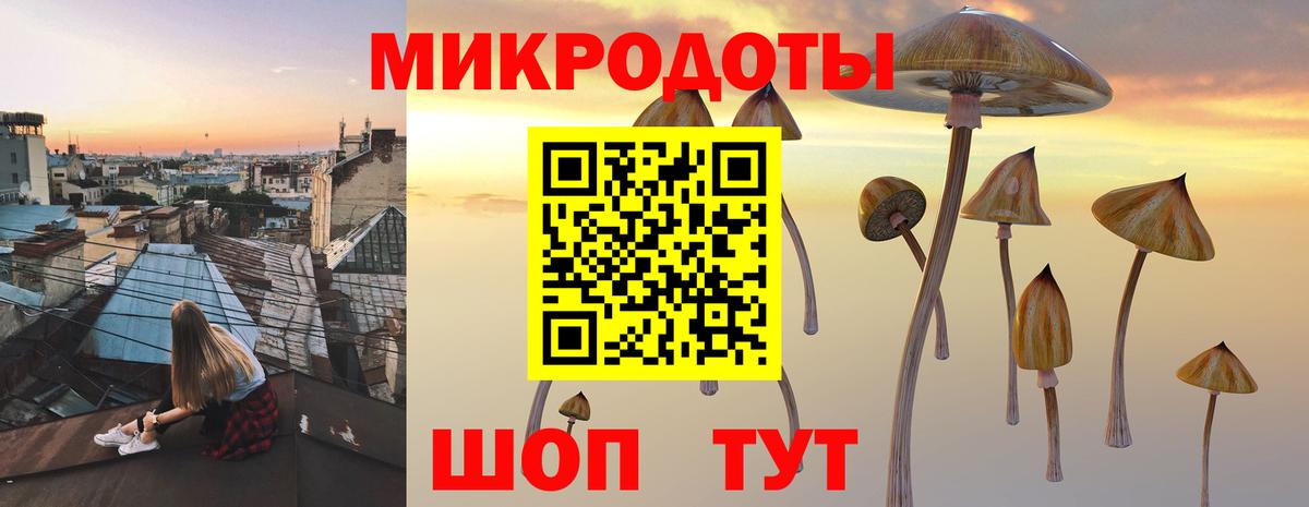 Псилоцибиновые грибы GOLDEN TEACHER  Псилоцибиновые грибы Psilocybine cubensis  Вход с VPN  Орёл 